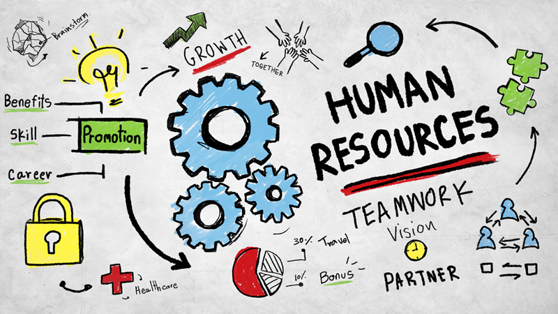 Human Resource Management (HRM): Definition & Functions ...