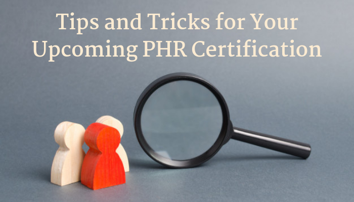 phr practice test, phr sample questions, phr exam questions, phr practice questions, phr test questions, phr practice test pdf, phr certification practice test, free phr practice test, sample phr questions, phr practice test free, phr practice exam, phr study guide pdf, phr practice test with answers, phr free practice test, sample phr exam questions, phr example questions, phr practice exam questions, phr exam sample questions, phr practice test questions, phr certification questions, phr quiz, phr practice, phr practice test 2019, phr questions, phr study guide, professional in human resources (phr), phr practice tests, phr exam practice questions, phr certification sample questions, phr test questions 2019, phr certification exam questions, phr certification