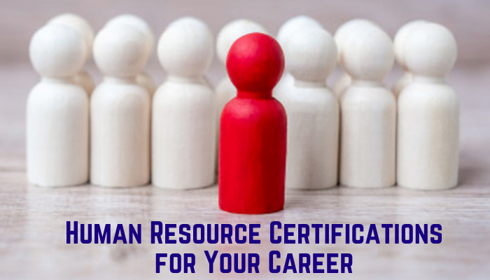 associate professional in human resources, aphr associate professional in human resources certification practice exams, human resource management exam questions and answers pdf, gphr, phr practice test, hrci certification, aphr, aphr certification, gphr certification, sphr practice test, aphr study guide, aphr practice test, shrm-scp study guide, aphr exam, phr sample questions, phr test questions, phr practice questions, phr certification practice test, sphr exam questions, shrm-scp, hrci practice tests, shrm-scp practice test, sphr sample questions, shrm exam questions, sphr practice questions, shrm-cp study guide pdf, sample shrm questions, shrm sample questions, shrm study guide, shrm-scp practice questions, shrm questions, hrci practice test, gphr sample questions, phr practice test questions, hrci certification online, hrci practice exams