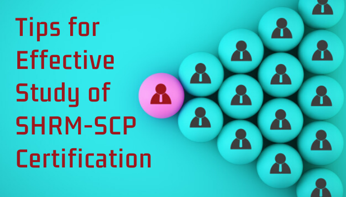 SHRM-SCP study guide, SHRM-SCP, scp exam, SHRM-SCP study guide pdf, SHRM-SCP certification practice exams pdf, SHRM-SCP exam, SHRM-SCP practice questions, SHRM-SCP practice test online, SHRM-SCP sample questions, SHRM-SCP questions, sample SHRM-SCP questions, SHRM-SCP practice test, SHRM-SCP test questions, SHRM-SCP certification practice exams, SHRM Senior Certified Professional, SHRM Senior Certified Professional Exam, SHRM Senior Certified Professional certification, Senior Certified Professional, Senior Certified Professional Exam, Human Resources