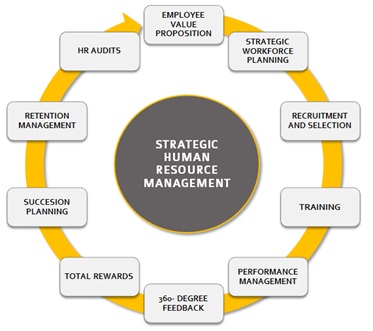 human resource strategy case study