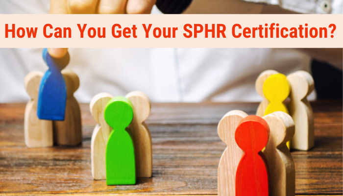 sphr, sphr practice test, sphr practice questions, sphr exam questions, sphr sample questions, free sphr practice test, sphr questions, sphr test questions, sphr test, sample sphr questions, sphr practice test online free, sphr practice exam, sphr practice tests, sphr practice test free, sphr sample test, sphr practice questions free, sphr certification, sample sphr exam questions, Senior Professional in Human Resources